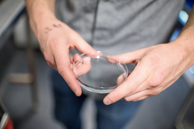 photo of someone holding a petri dish