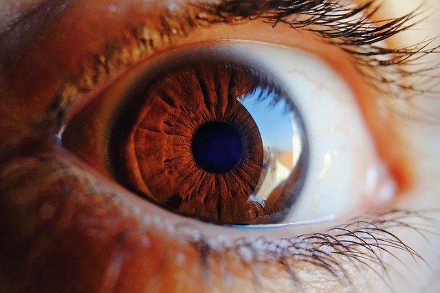 photo of a brown human eye